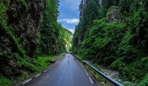 Cheile Dâmbovicioarei