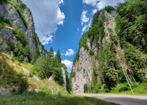 Cheile Dâmbovicioarei